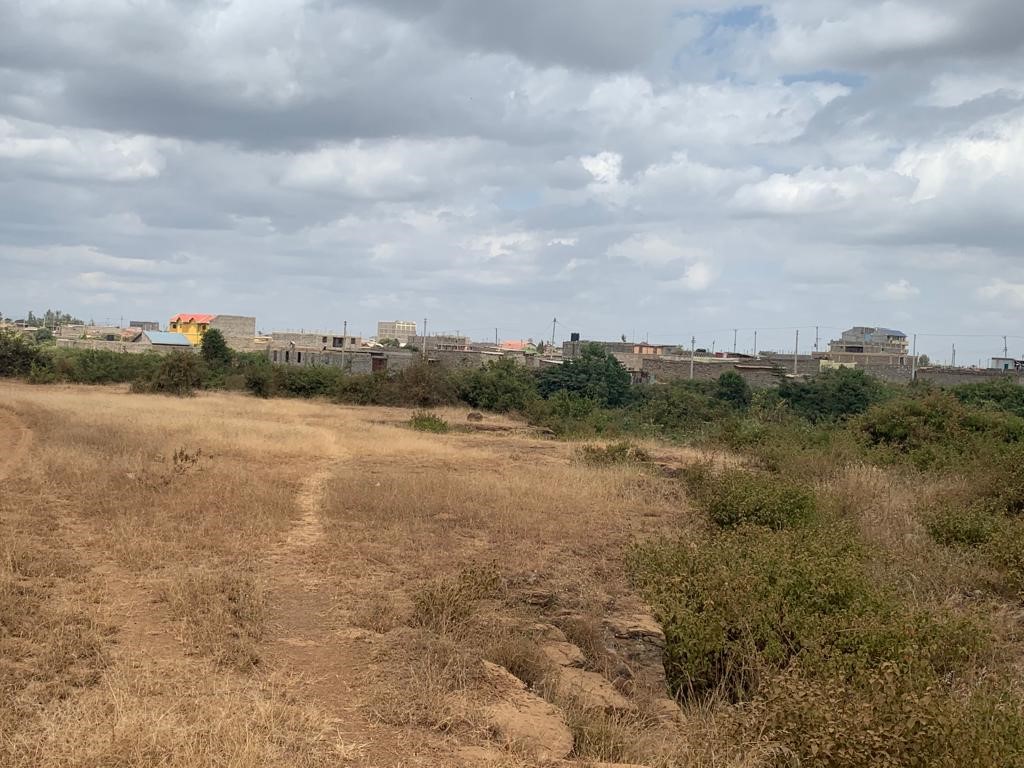10 Acre Parcel